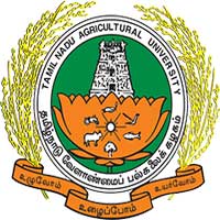 codesensesoftsolutions